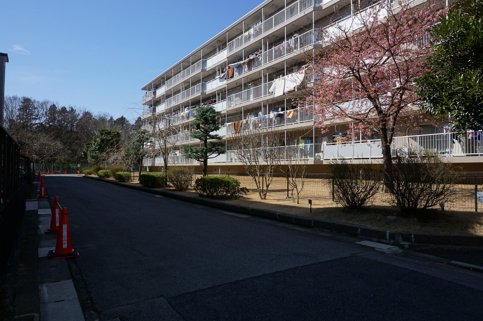 隣の棟との間隔が広く日当たり良好、通風しも良く、植栽等が多かったりと環境が良いのも魅力的です