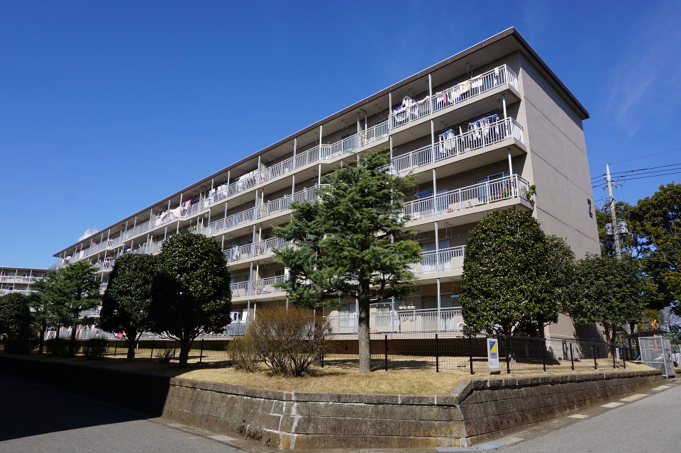 建物と建物の間隔があり、豊かな緑のある団地物件です