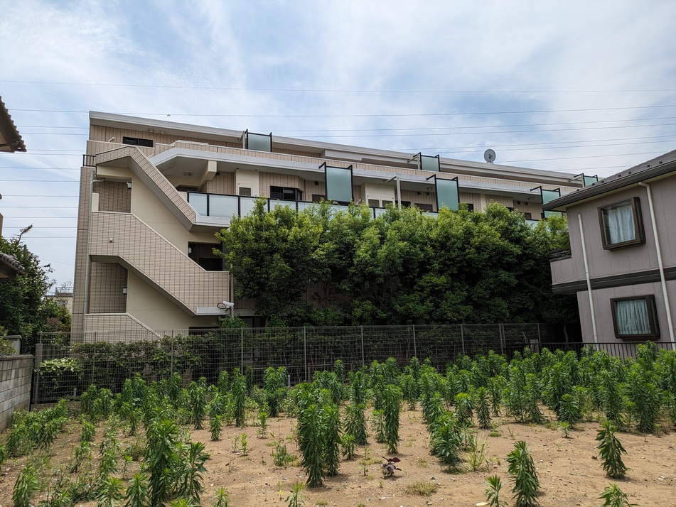 ペット可マンション(1住戸につき犬猫あわせて2匹まで)