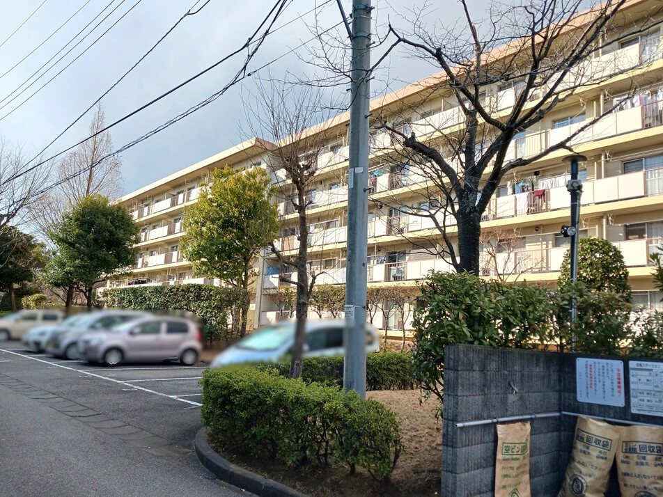 南向きにつき明るい光がたっぷり入ります♪