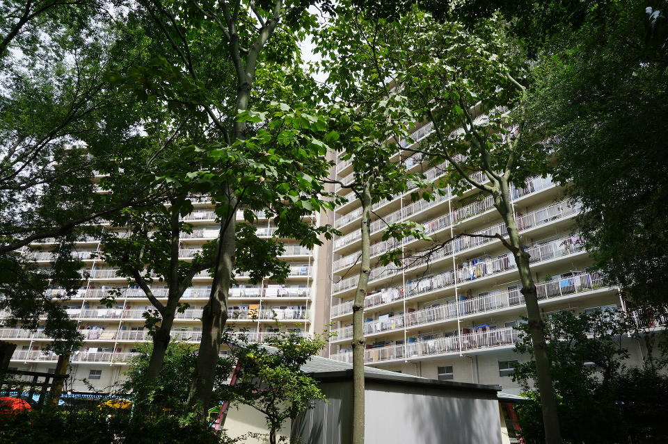 敷地内は緑の多い良好な住環境　