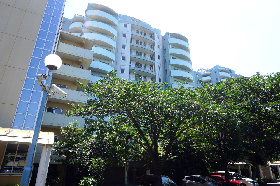 鉄骨鉄筋コンクリート造13階建