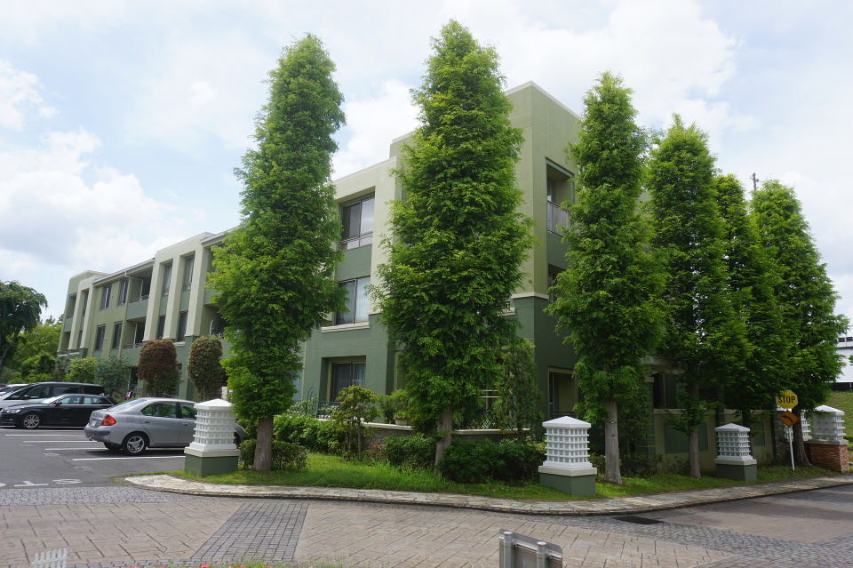 フェリズ八千代大和田