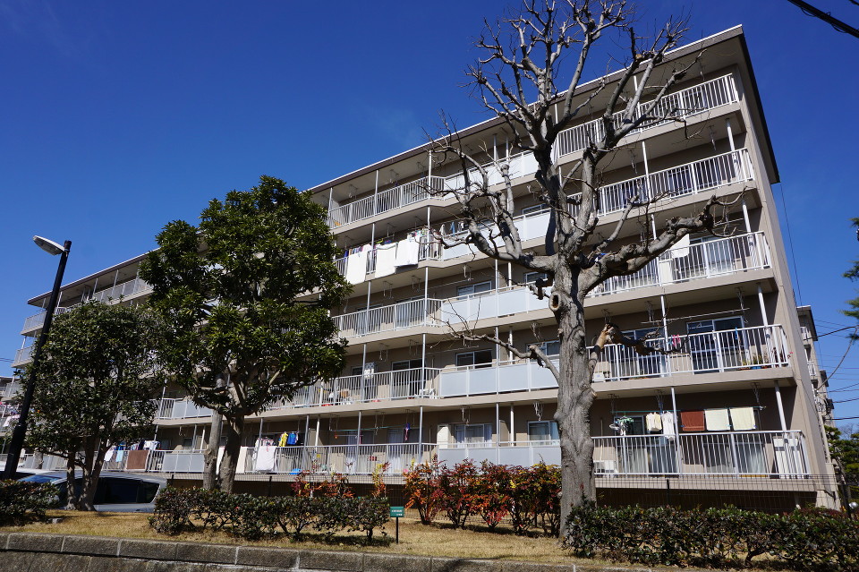 フェリズ八千代大和田