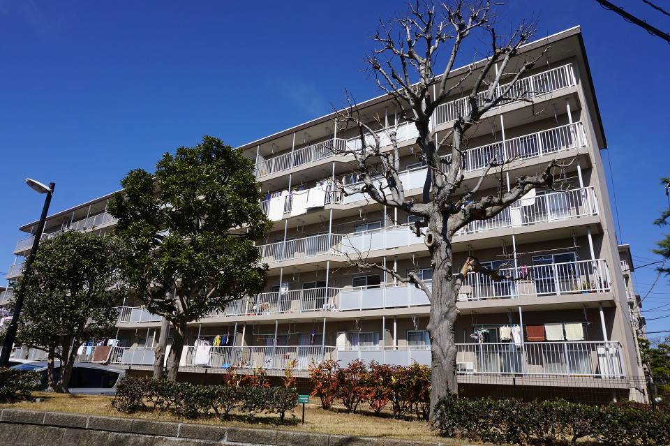 植栽等が多く環境が良いのも魅力的です