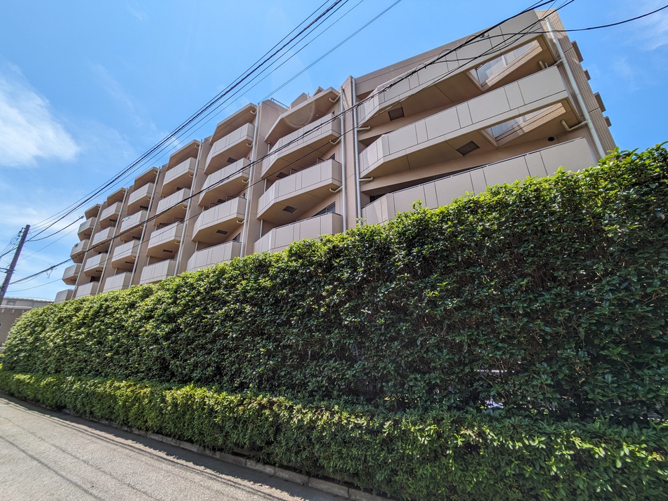 商業施設や教育機関が身近にあり、駅までもアクセス良好な好立地