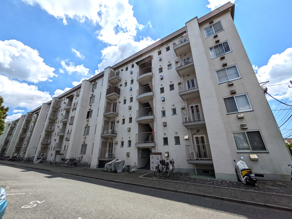 団地ならではの緑豊かな住環境