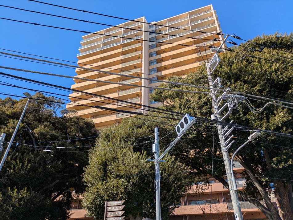 全戸南東向きにつき日当たり良好です♪