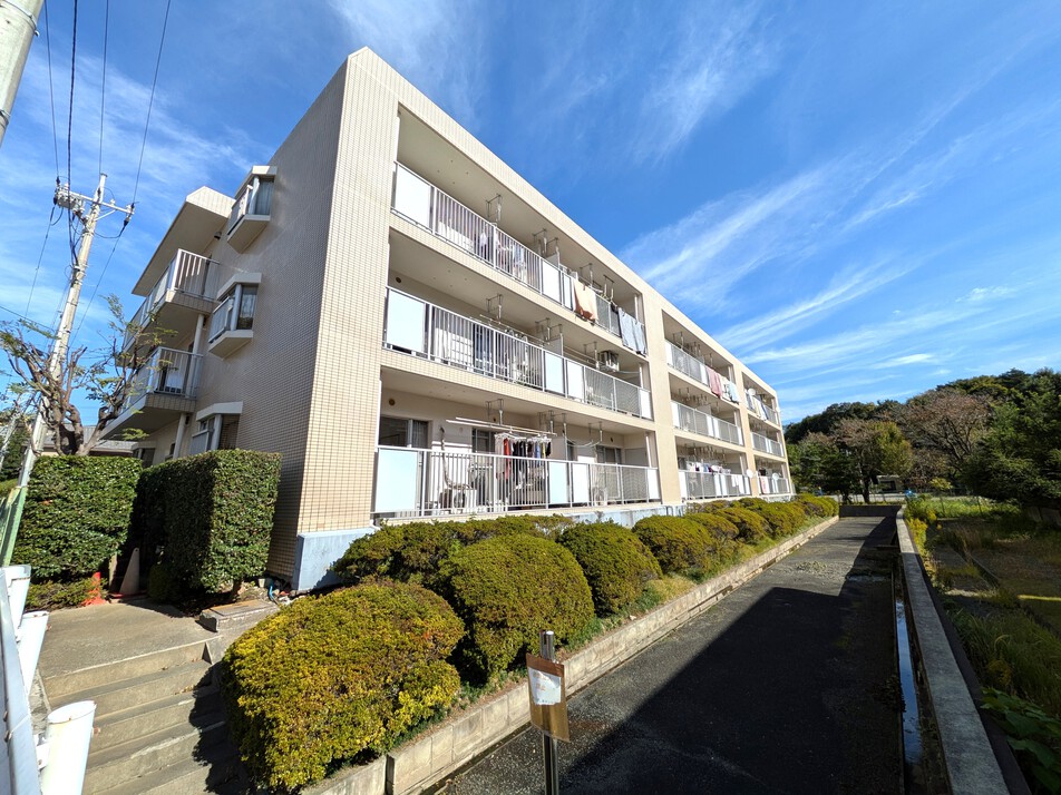 南側から暖かな採光がとれます♪