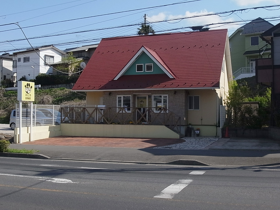 ぴっころ動物病院 340m 徒歩5分