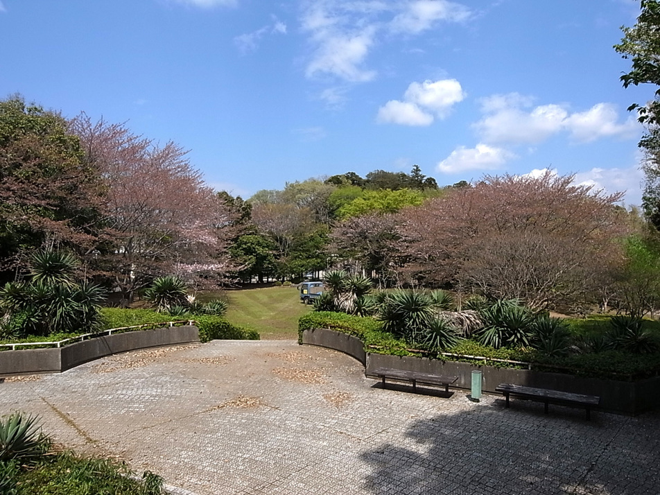 南志津公園 210m 徒歩3分