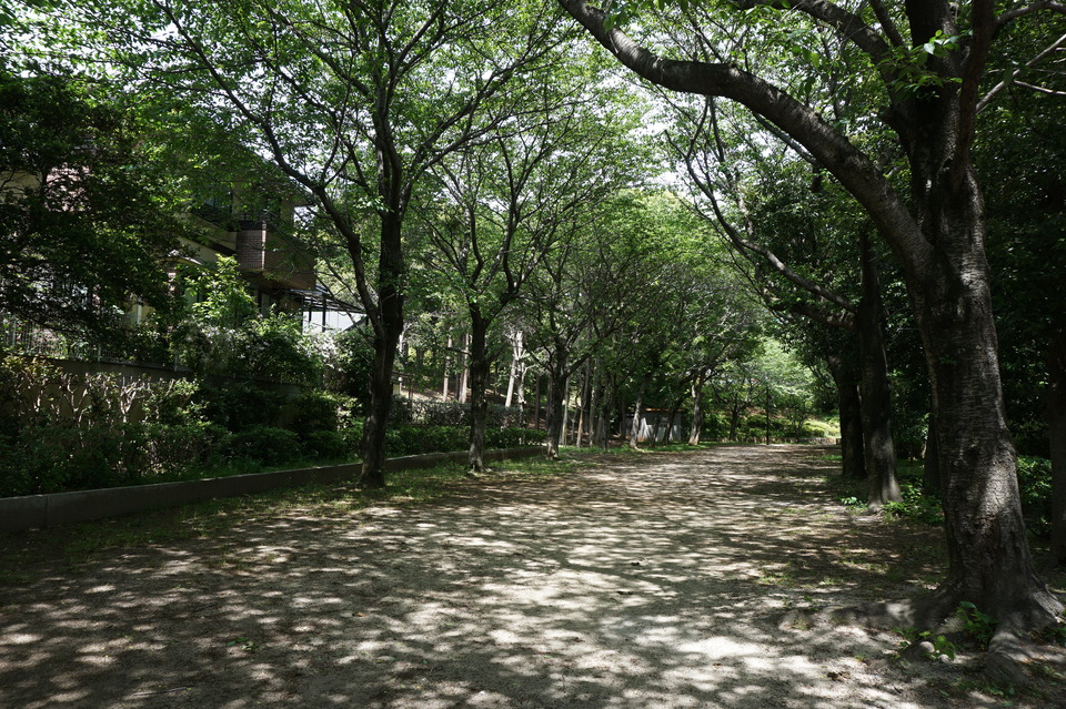 萱田第一緑地水神広場 170m 徒歩3分