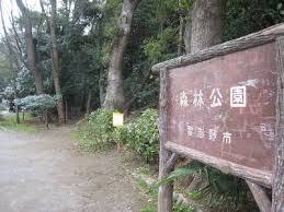 藤崎森林公園 1030m 徒歩13分
