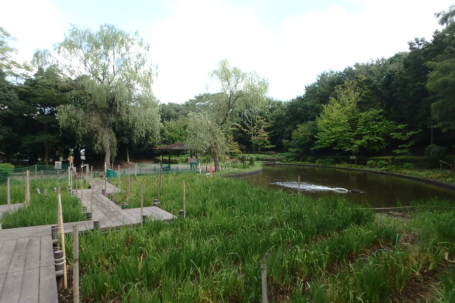 香澄公園 300m 徒歩4分