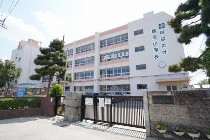 習志野市立鷺沼小学校 550m 徒歩7分