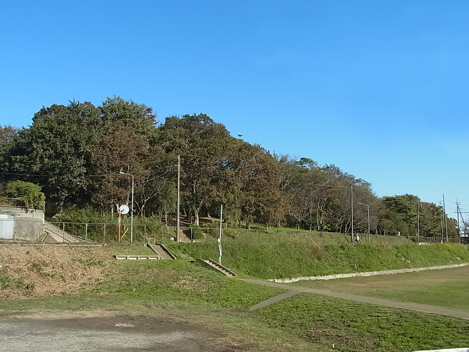 高津小鳥の森 170m 徒歩3分