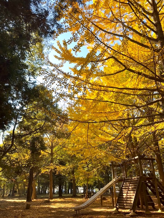 八千代台北子供の森 252m 徒歩2分