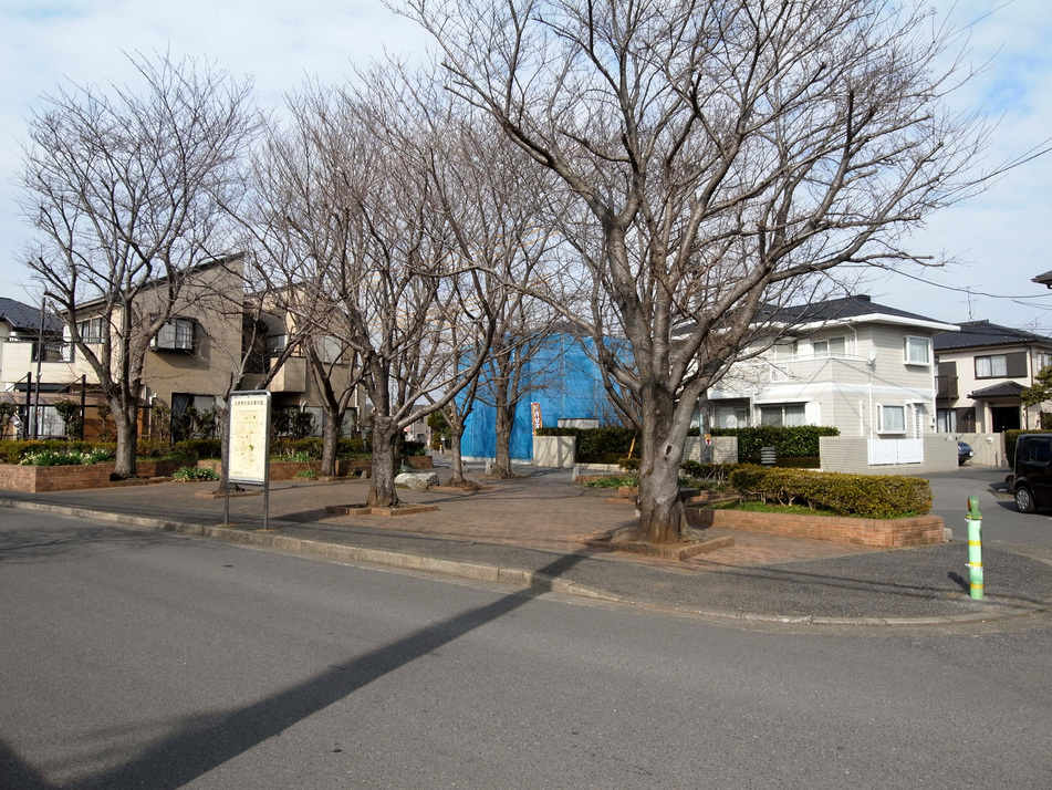 サクラの広場 110m 徒歩2分