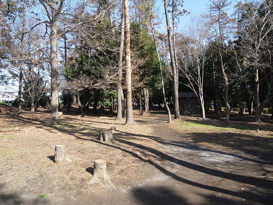 勝田市民の森 70m 徒歩1分