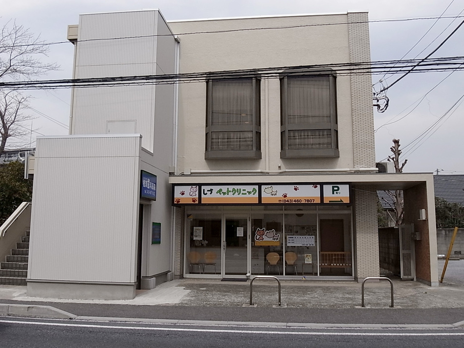 江澤歯科・しづペットクリニック 1230m 徒歩16分