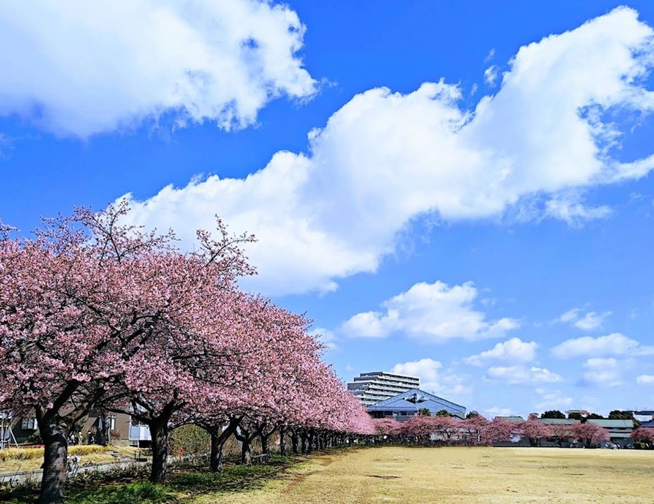 西志津スポーツ等多目的広場 540m 徒歩7分