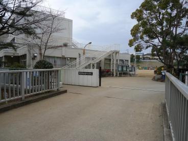習志野市立藤崎小学校 1710m 徒歩22分