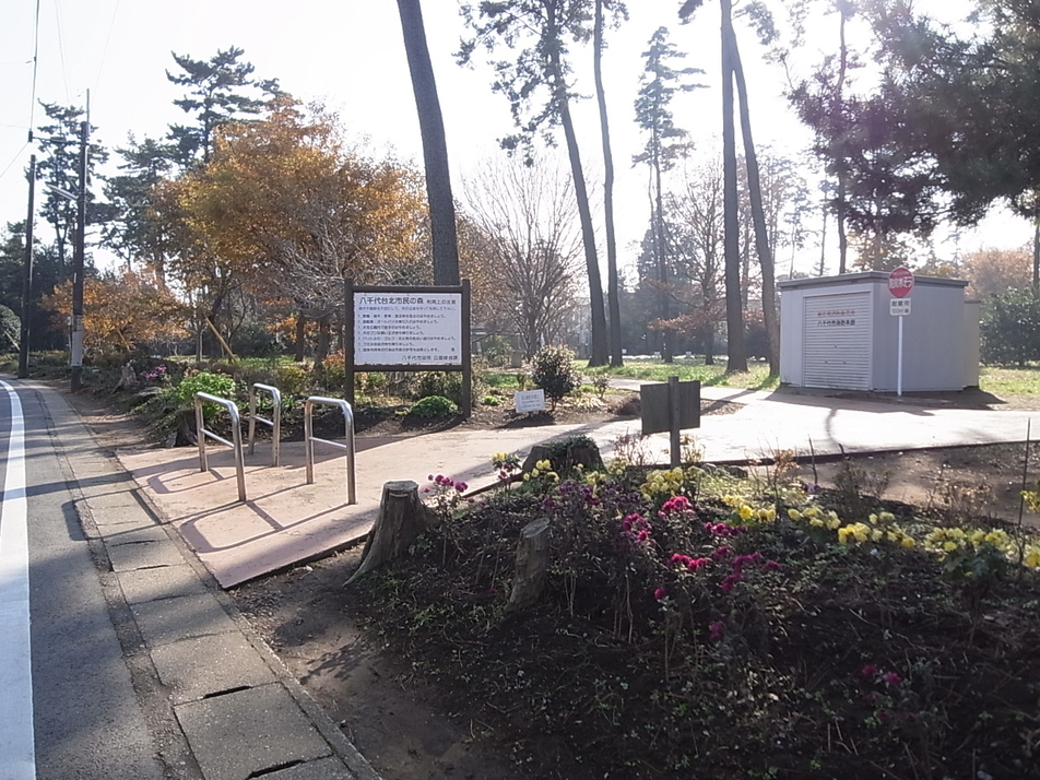 八千代台北市民の森 220m 徒歩3分